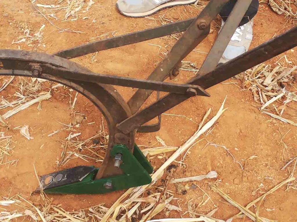 Minimum soil tillage with oxen ripper